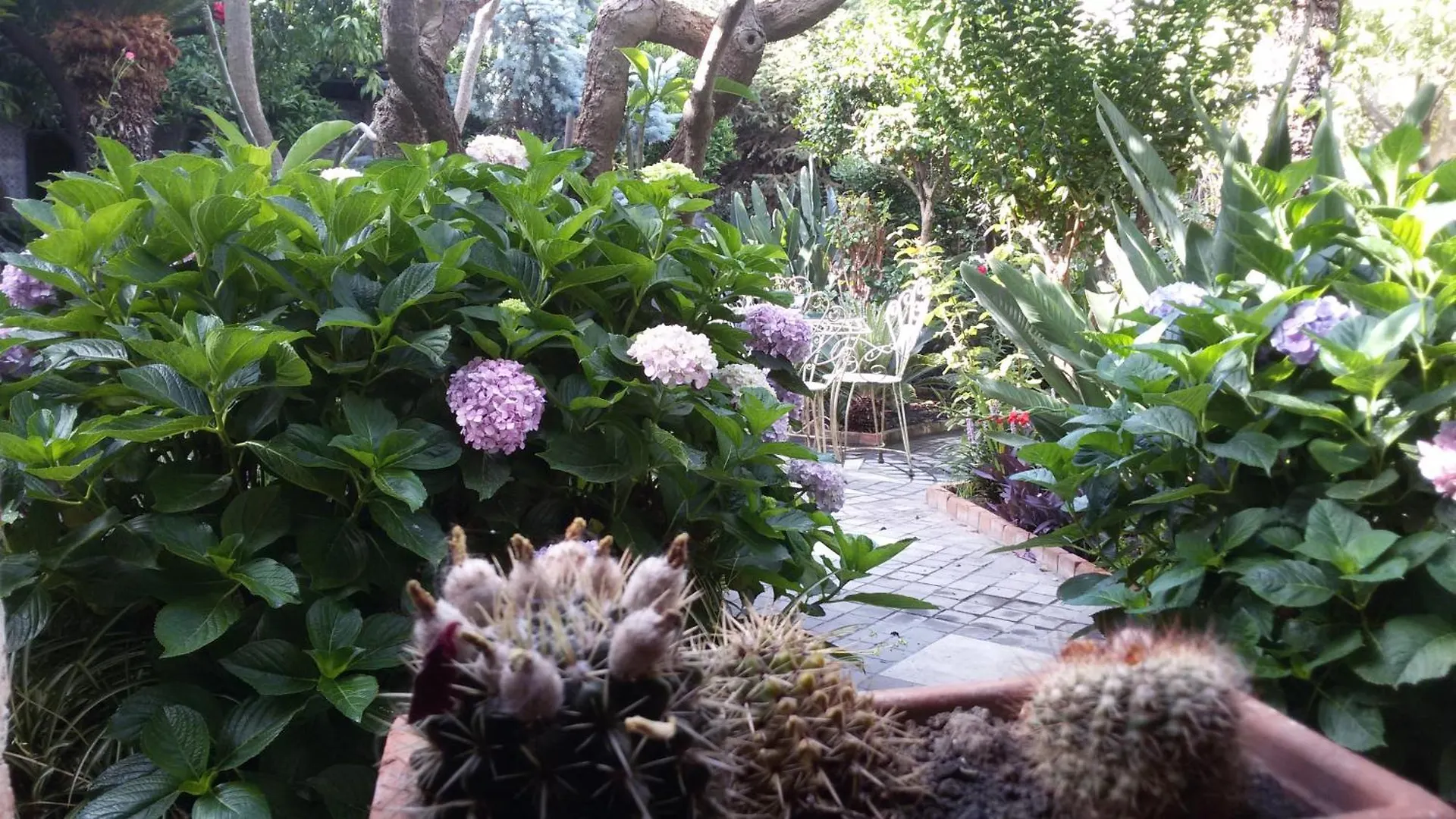 La Baronessa B&B Riposto 0*,  Italia