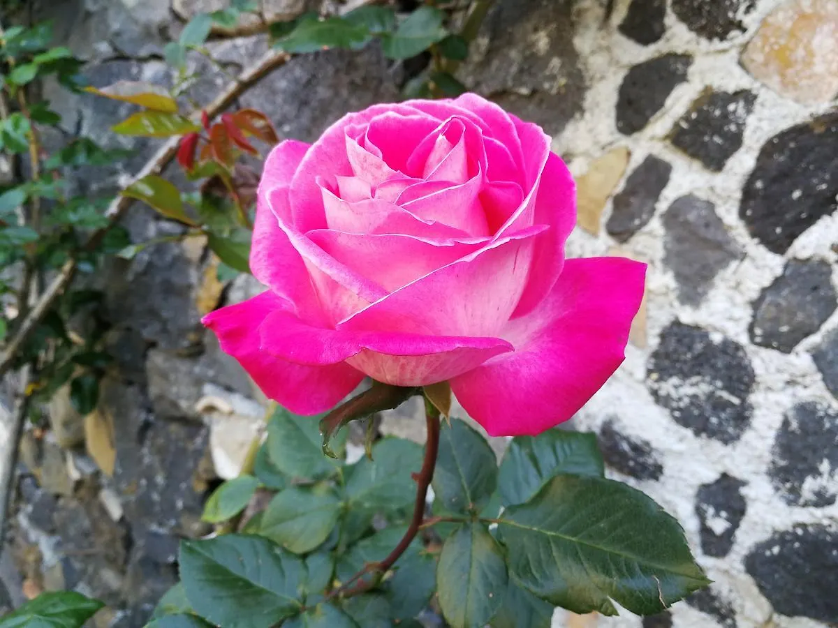 La Baronessa B&B Riposto 0*,  Italia